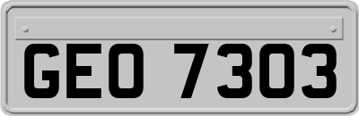 GEO7303