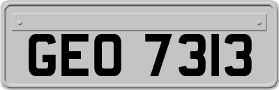 GEO7313