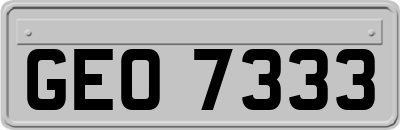 GEO7333