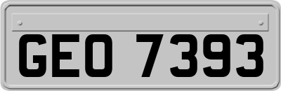 GEO7393