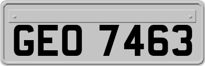 GEO7463