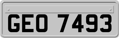 GEO7493