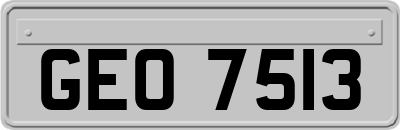 GEO7513