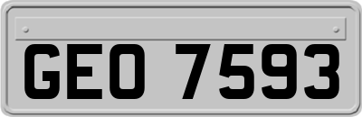 GEO7593