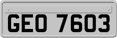 GEO7603