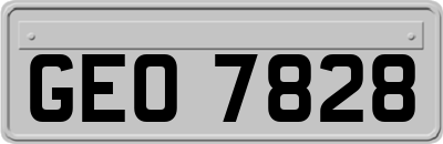 GEO7828