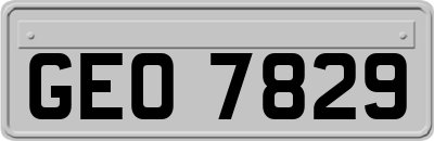 GEO7829