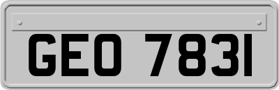 GEO7831