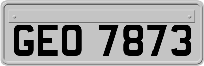 GEO7873