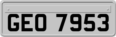 GEO7953