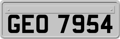 GEO7954