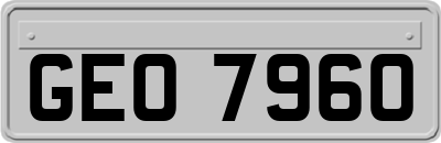 GEO7960