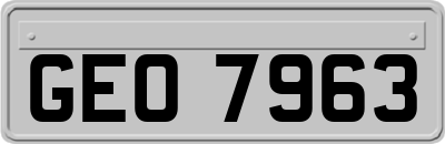 GEO7963