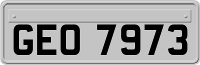 GEO7973
