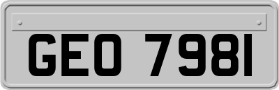 GEO7981