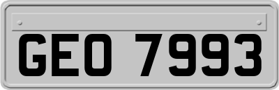 GEO7993