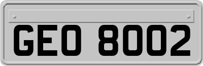 GEO8002