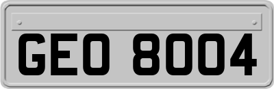 GEO8004