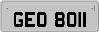 GEO8011