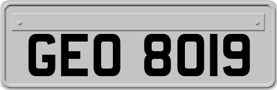 GEO8019