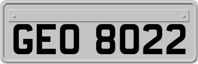 GEO8022