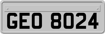 GEO8024