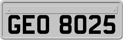 GEO8025