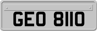 GEO8110