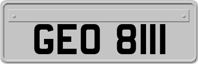 GEO8111