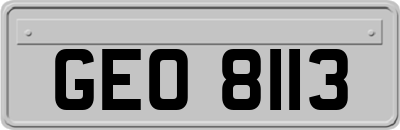 GEO8113
