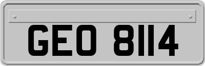 GEO8114