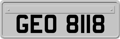 GEO8118