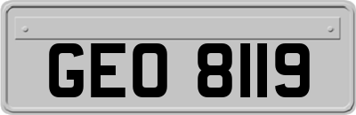 GEO8119