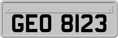 GEO8123