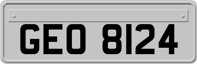 GEO8124