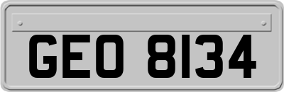 GEO8134