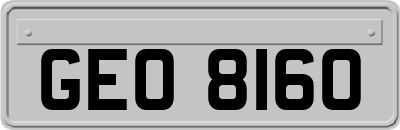 GEO8160