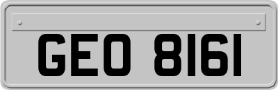 GEO8161