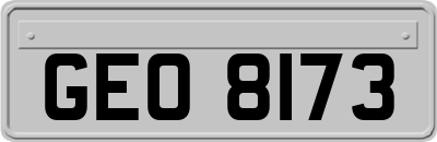 GEO8173
