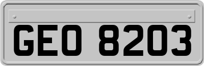 GEO8203
