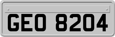 GEO8204