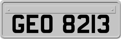 GEO8213