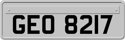 GEO8217