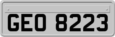 GEO8223
