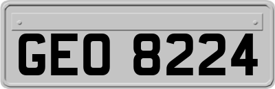GEO8224
