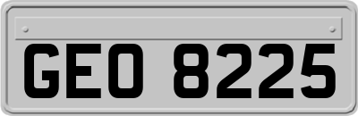 GEO8225