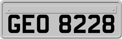 GEO8228