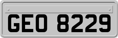 GEO8229