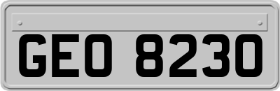 GEO8230