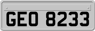 GEO8233